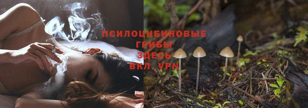 экстази Арсеньев