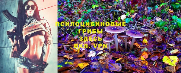 экстази Арсеньев
