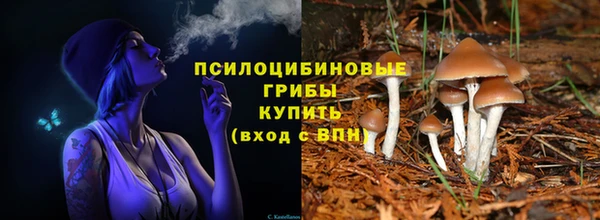 экстази Арсеньев