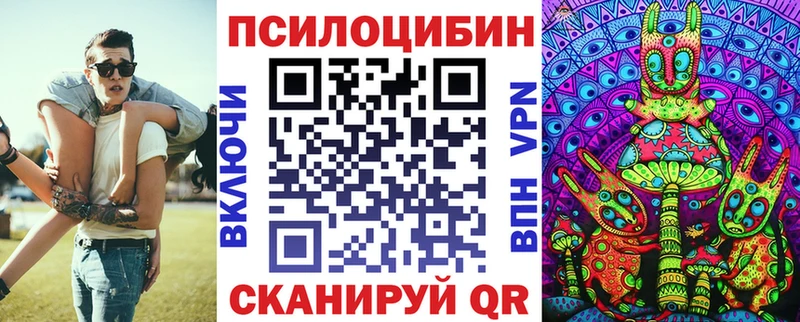 Галлюциногенные грибы Psilocybe  Купить закладки  Куровское 